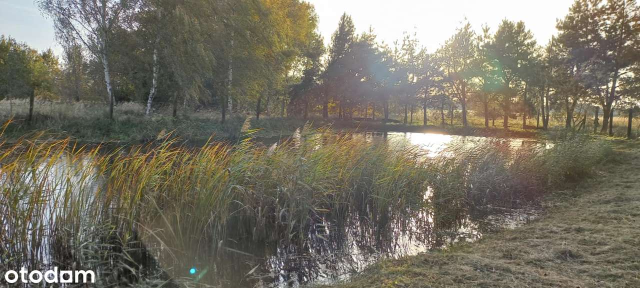 Działka 5390 m² z warunkami zabudowy i własnym stawem – blisko przy S5 - Pełny obrazek: 5/8