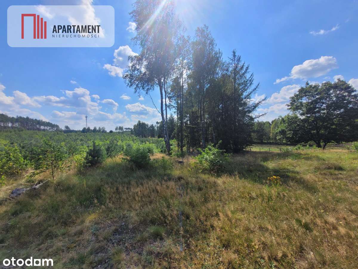 działka leśno rolna - Pełny obrazek: 5/7