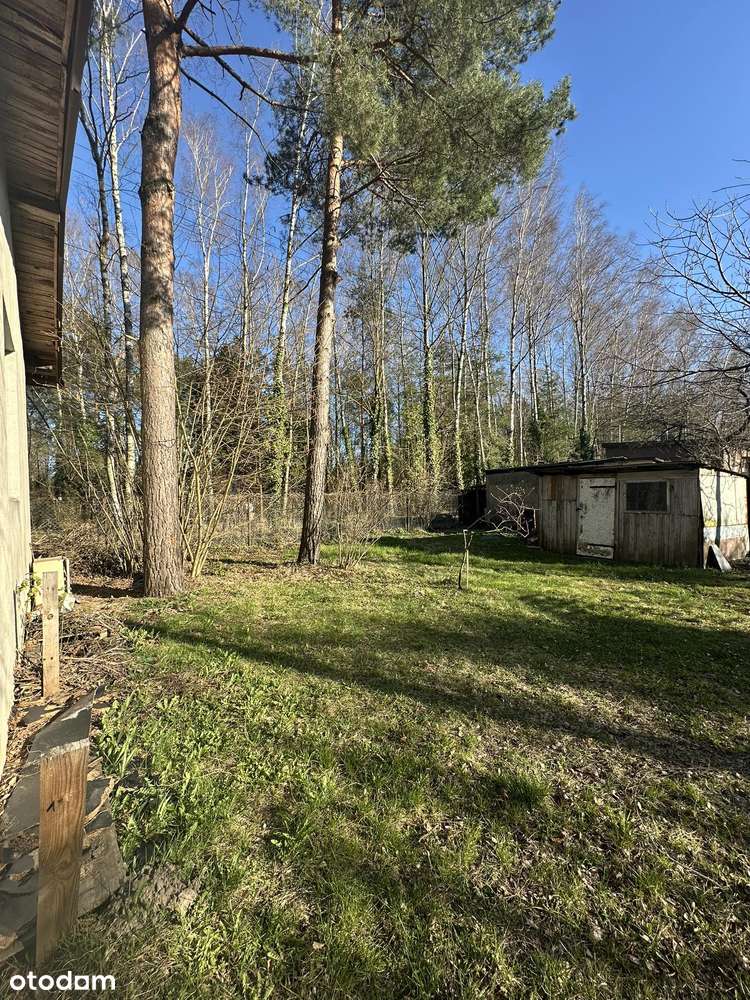 Działka w Gałkówku Małym o pow.650m2 + domek 42m2 - Pełny obrazek: 5/15