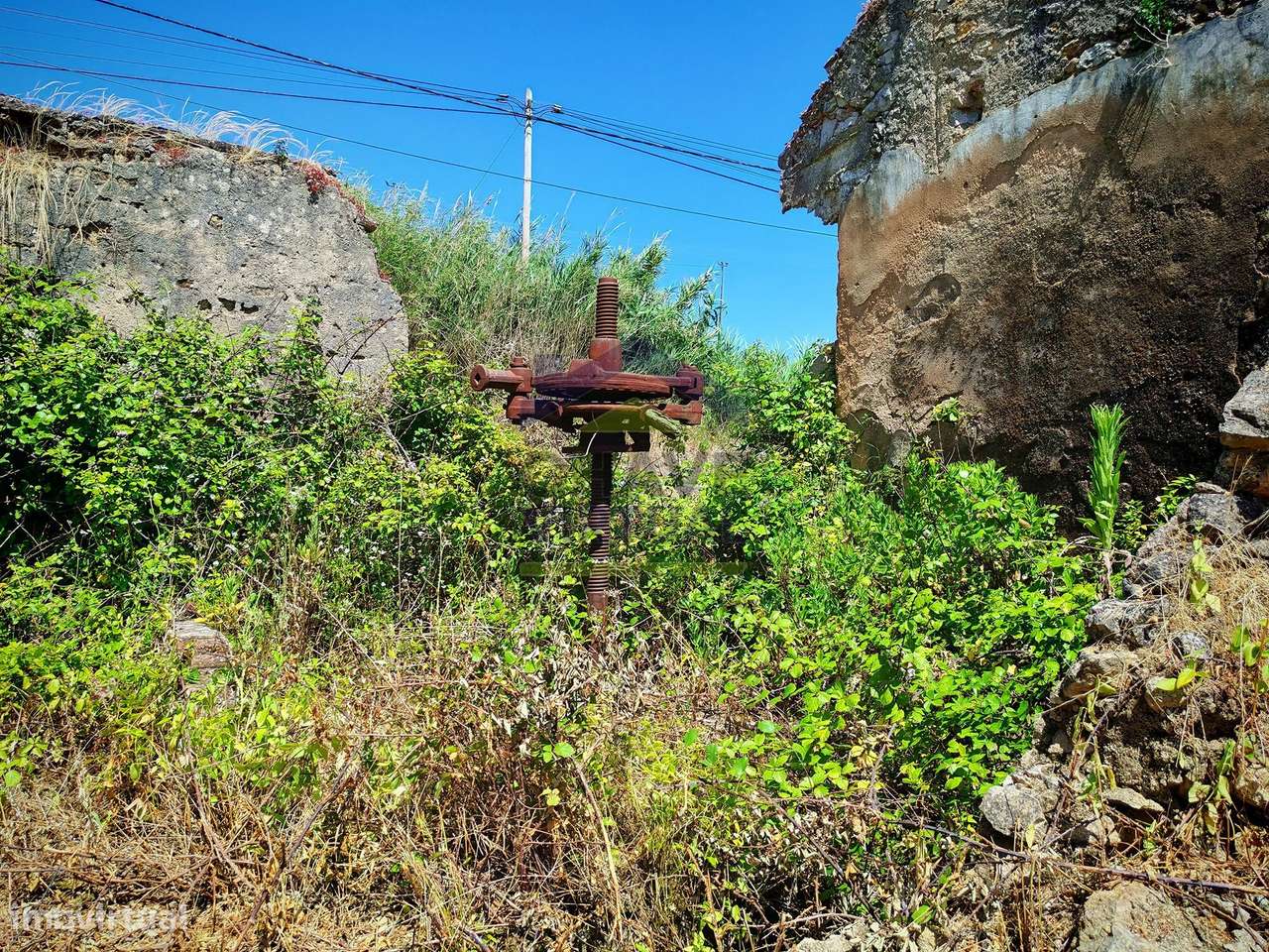 Terreno para Construção Delgada - Bombarral-8