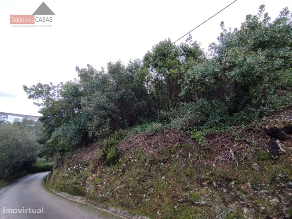 Terreno Rústico em Coimbra - Ceira - Grande imagem: 2/3