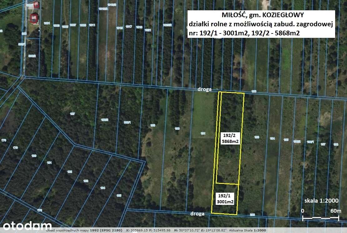 Miłość działka dla ukochanej :-) 3001m2 cena tylko 29.900zł-3