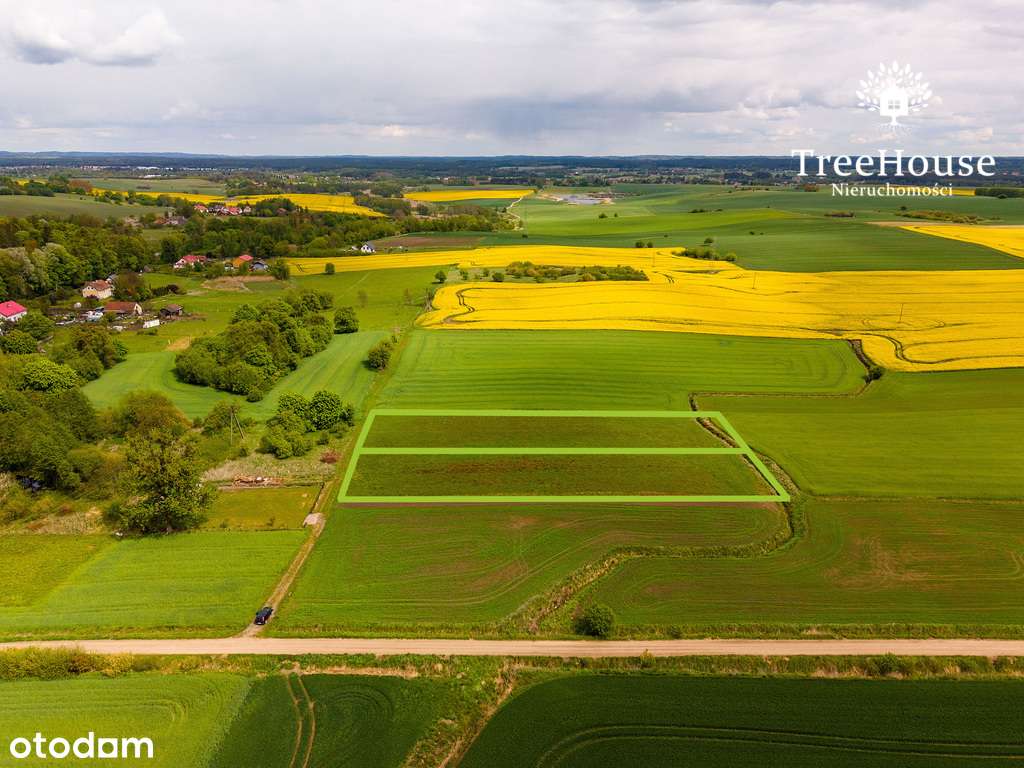 Działka rolna w Głotowie, gmina Dobre Miasto - Pełny obrazek: 5/9