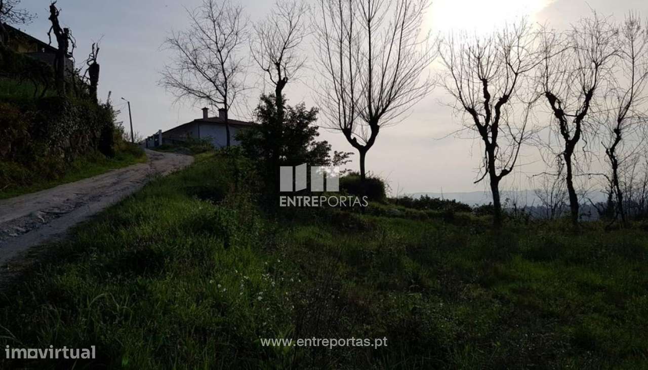 Venda Terreno, Várzea de Ovelha e Aliviada, Marco de Canaveses - Grande imagem: 3/25