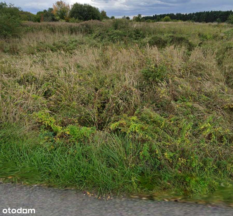 Działka, 3 049 m², Chrzanów-5