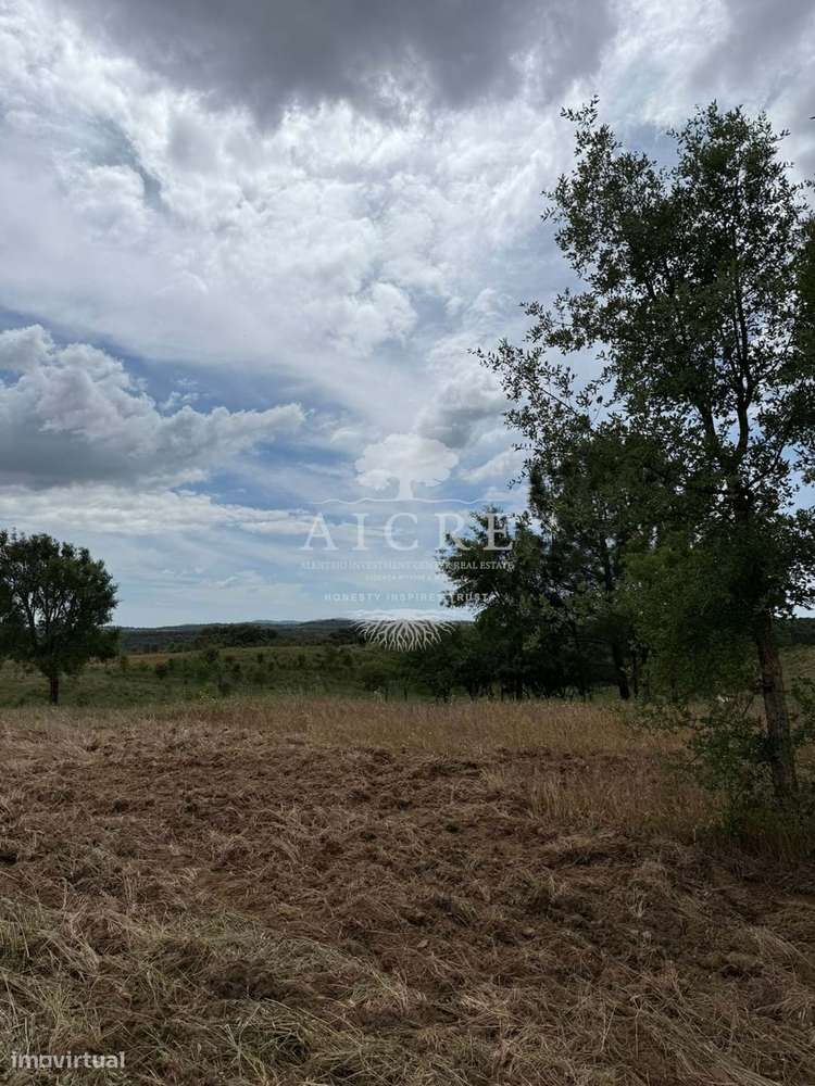 Monte Alentejano com Projeto de Turismo Rural Aprovado – Santiago do C-5