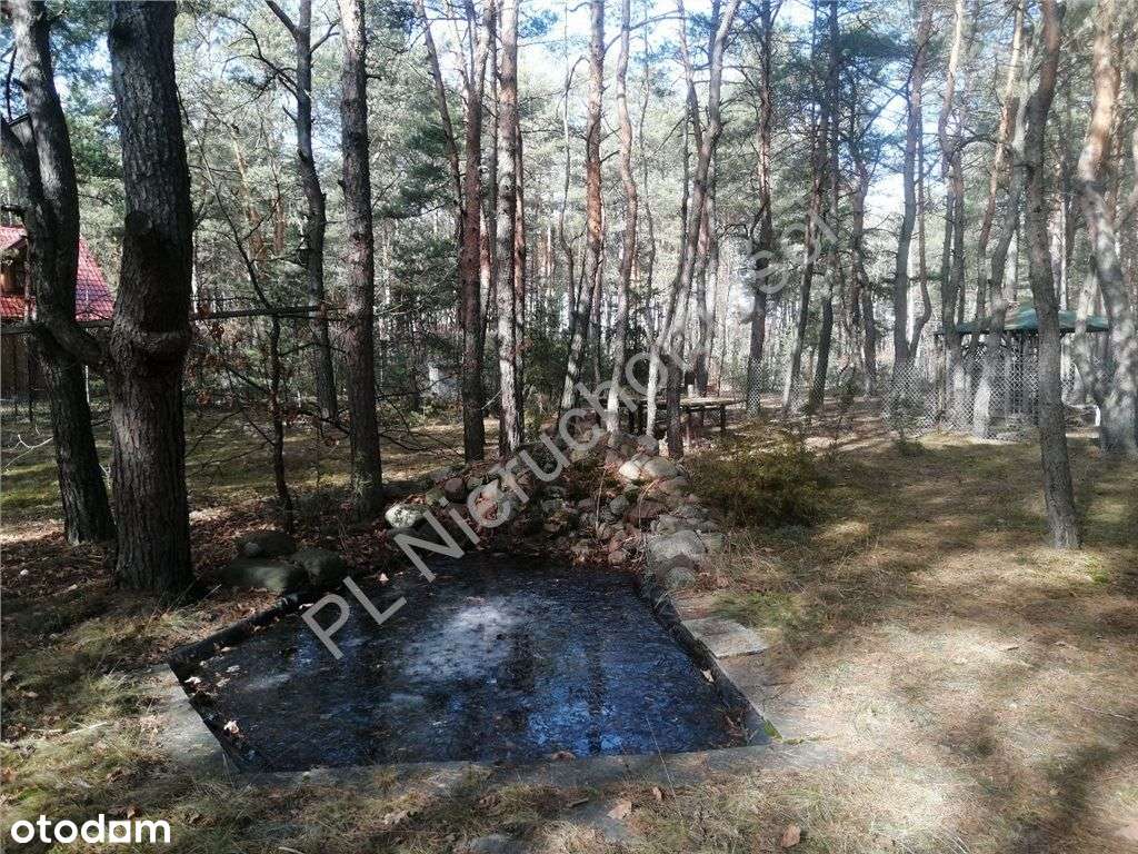 Dom letniskowy wśród lasów w gminie Dobre-16