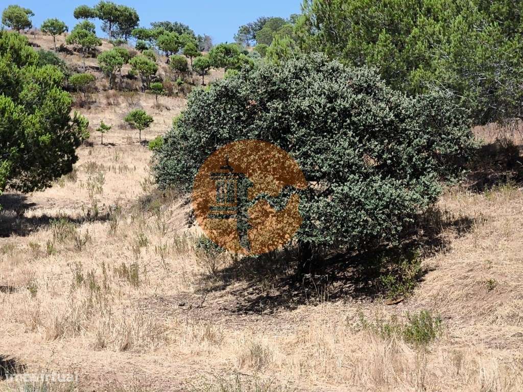 TERRENO COM 11 HECTARES - VISTA MAR - LAGO PRIVADO - EM VALE DAS ZO... - Grande imagem: 5/32