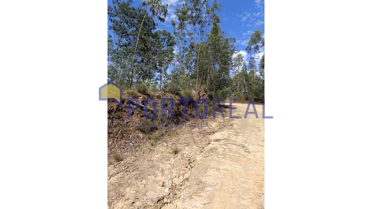 Terreno rustico em Melres - Gondomar - Grande imagem: 5/16