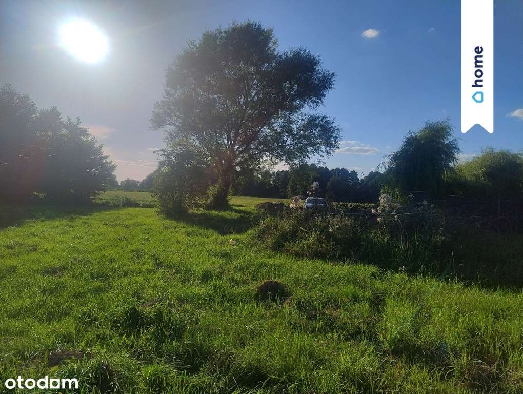 Budowlana działka Pędzewo - Pełny obrazek: 5/9