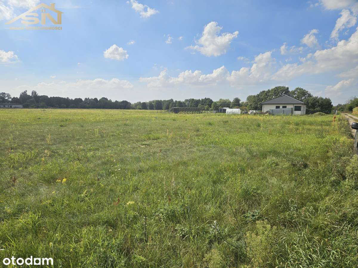 Urocze działki blisko od lasu! - Pełny obrazek: 5/6