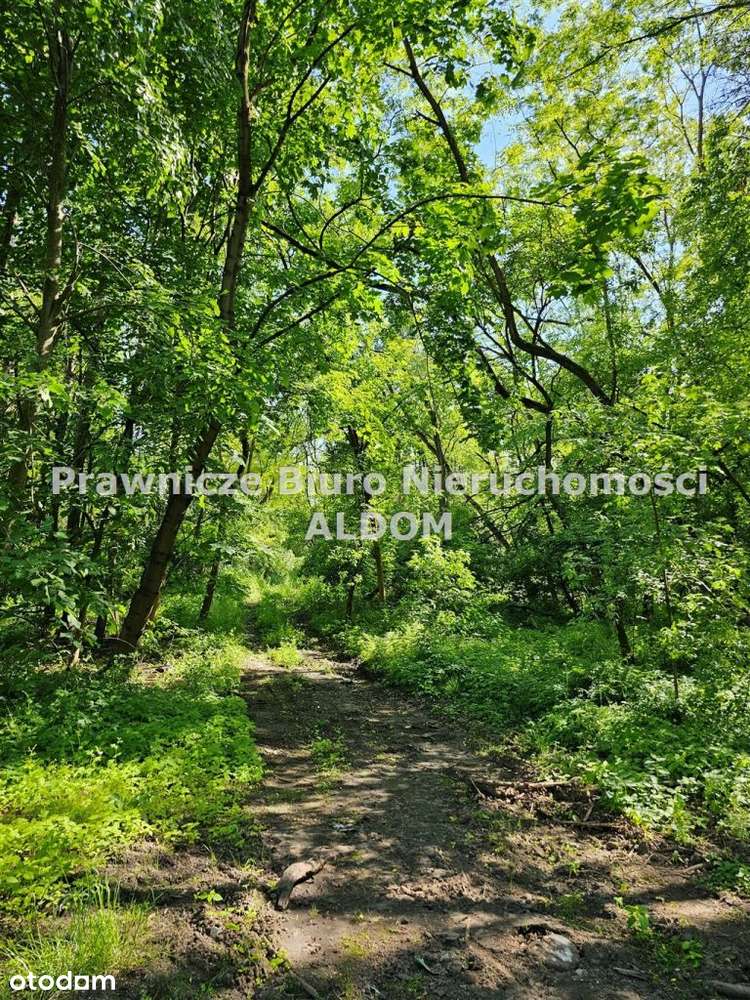 Działka, 17 353 m², Krapkowice - Pełny obrazek: 4/5