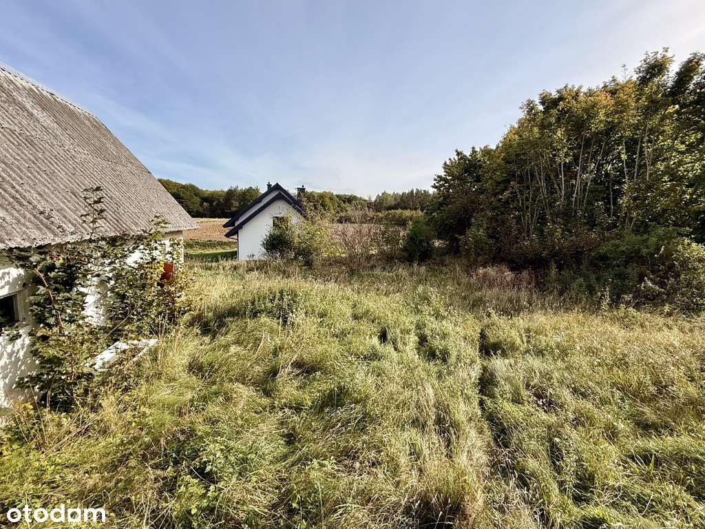 Michalin | bajeczna działka | dom - Pełny obrazek: 5/17