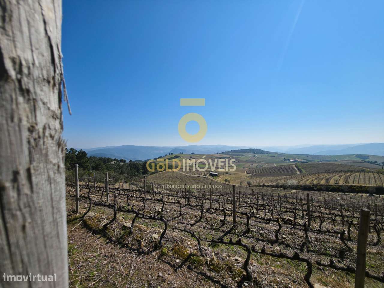 Quinta  Venda em São Mamede de Ribatua,Alijó - Grande imagem: 5/6