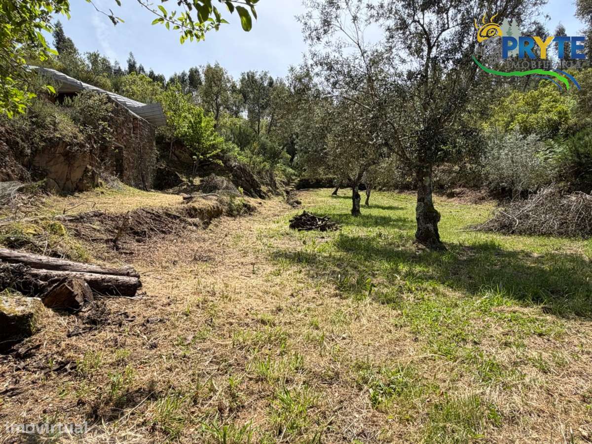 Terreno com uma ruína não registada a 6 quilómetros da Sertã-41