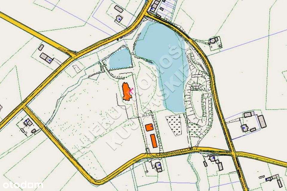 Zabytkowy pałac, park, 2 stawy, Więsławice-Parcele - Pełny obrazek: 5/14