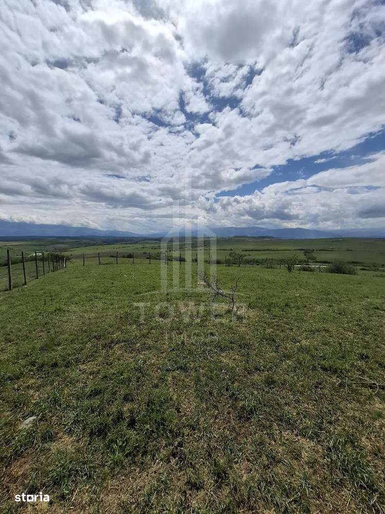 De vanzare, teren 11.500 mp – Dealul Dăii,  Vedere panoramică spre mun - Imagine principală: 4/12