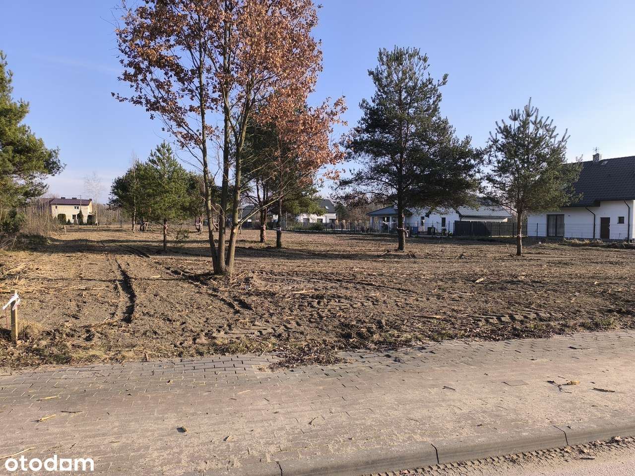 Działka budowlana 1652m2. MPZP - Pełny obrazek: 5/5