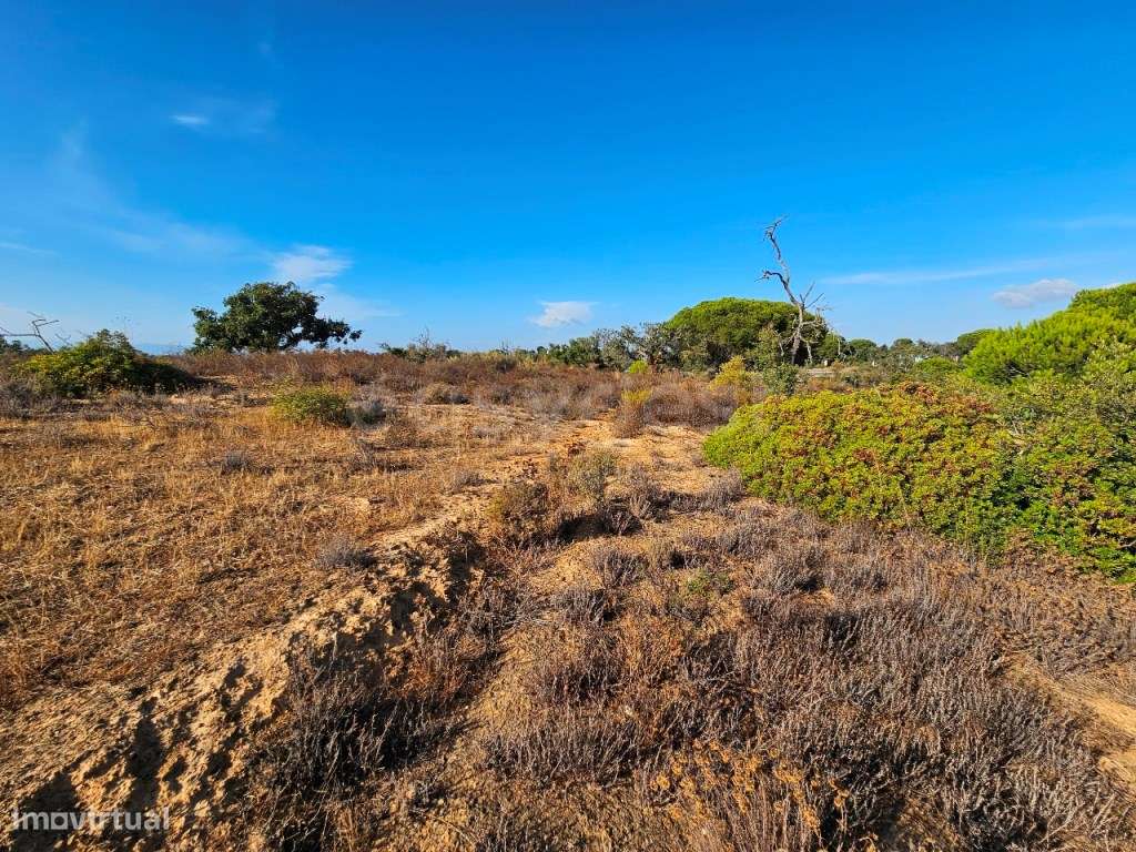 Terreno Rústico em Pêra com 20.720m2 - Grande imagem: 5/12