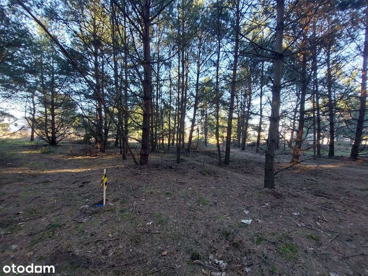 Atrakcyjna działka budowlana w Rumi-8