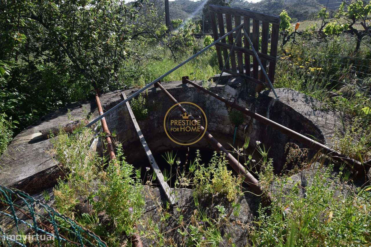 Monte  tipico alentejano T3 situada a 15 minutos de Almodovar e a 5 mi - Grande imagem: 5/23