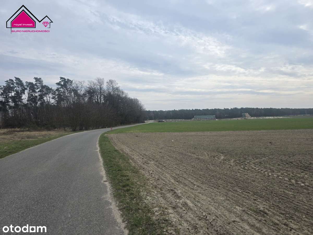 Działka z własnym lasem blisko centrum Konina-4