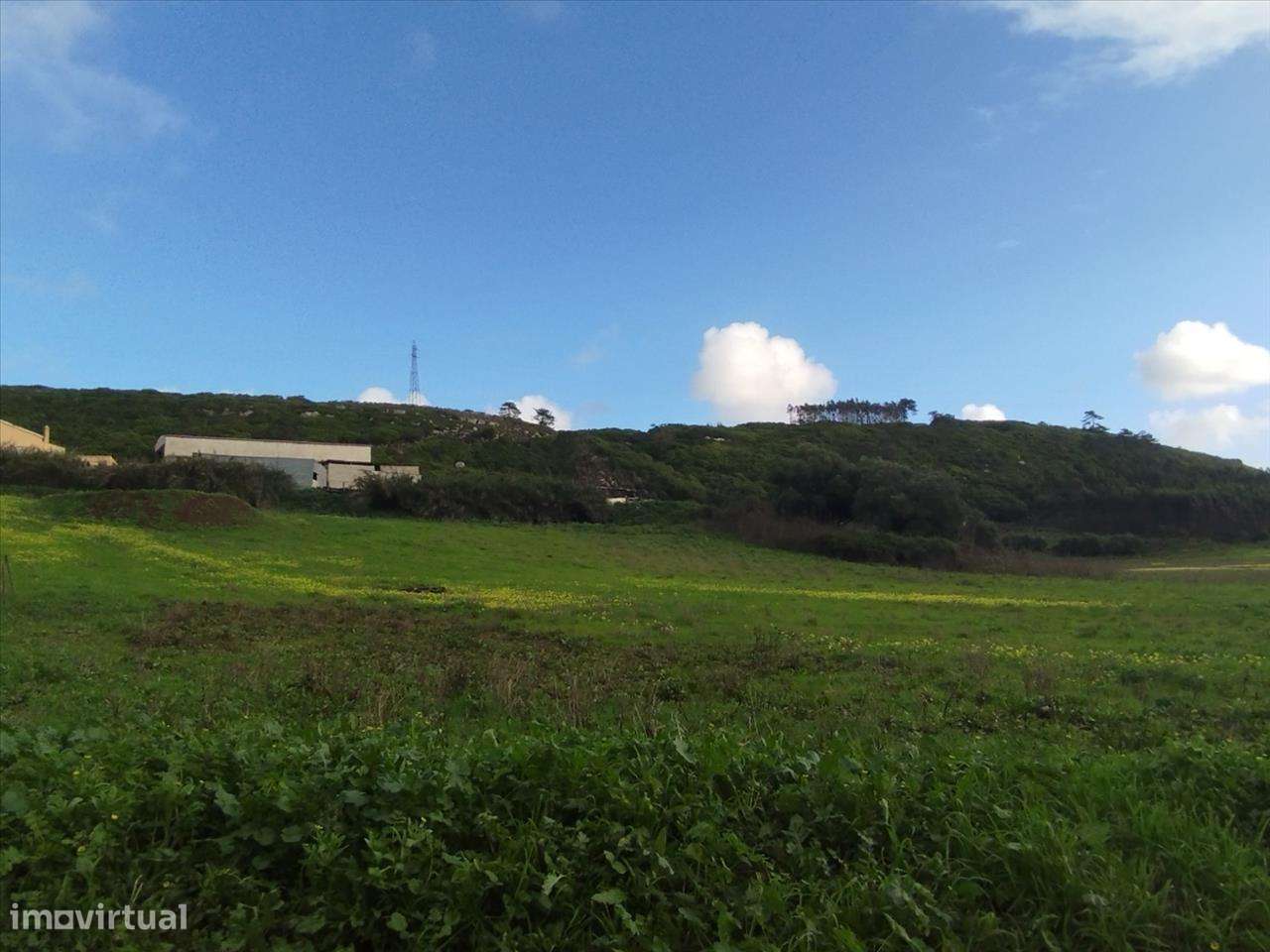 Terreno em Lourinhã, São Bartolomeu Galegos - Grande imagem: 5/13