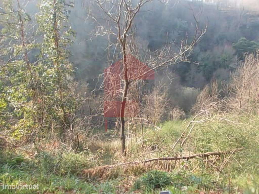 Terreno, Covas - Grande imagem: 5/9