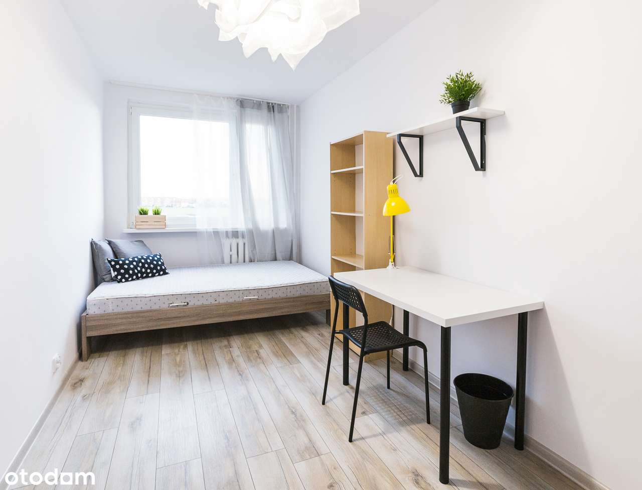 Pokój JEDNOOSOBOWY /NOWY DWÓR/ Bez PROWIZJI/ Dostępny od 17.01.2026 - Pełny obrazek: 5/12