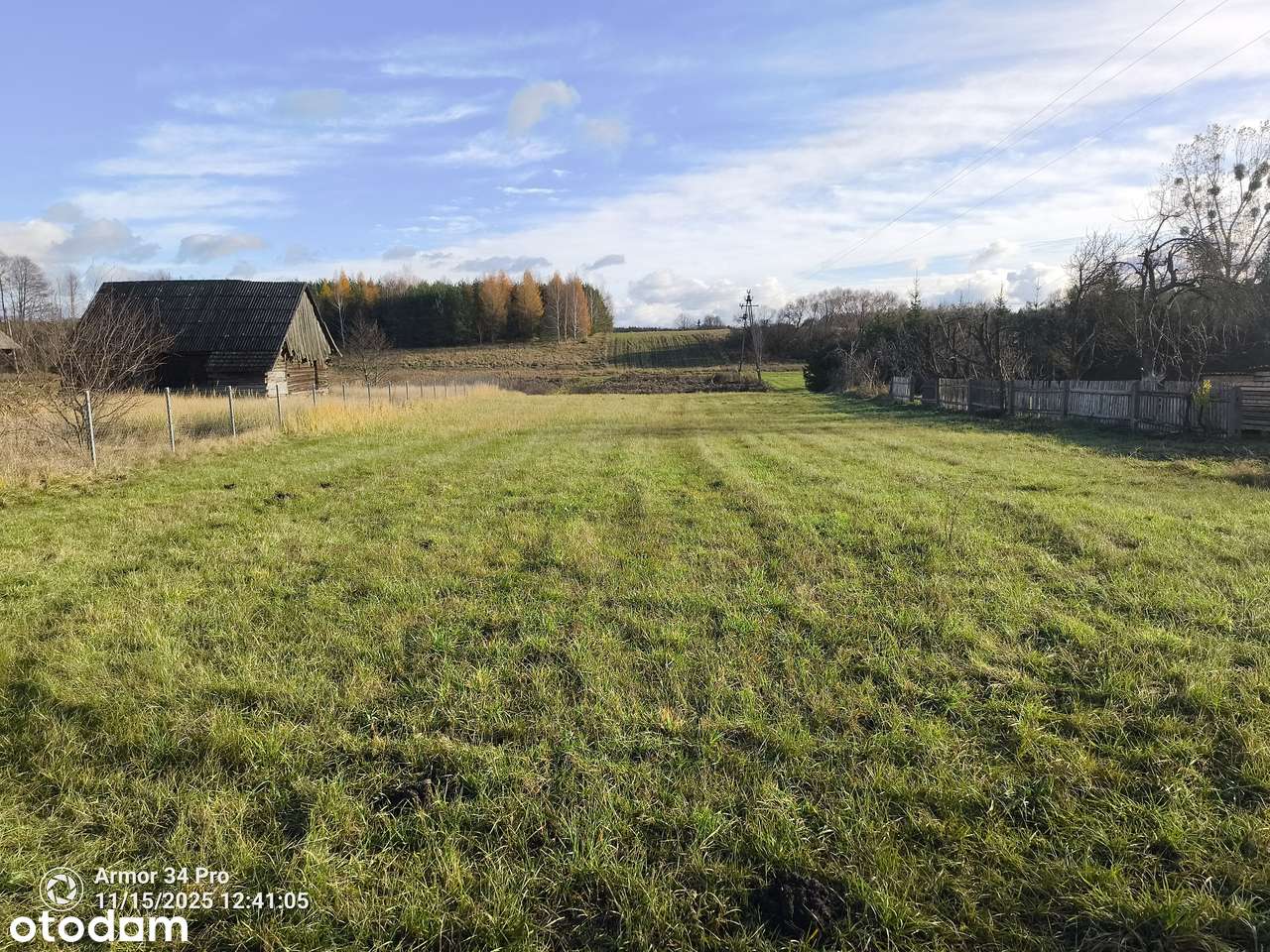 Działka z linią RZEKI Orla z WZ w Puszczy Białowieskiej, Pełne media - Pełny obrazek: 4/20