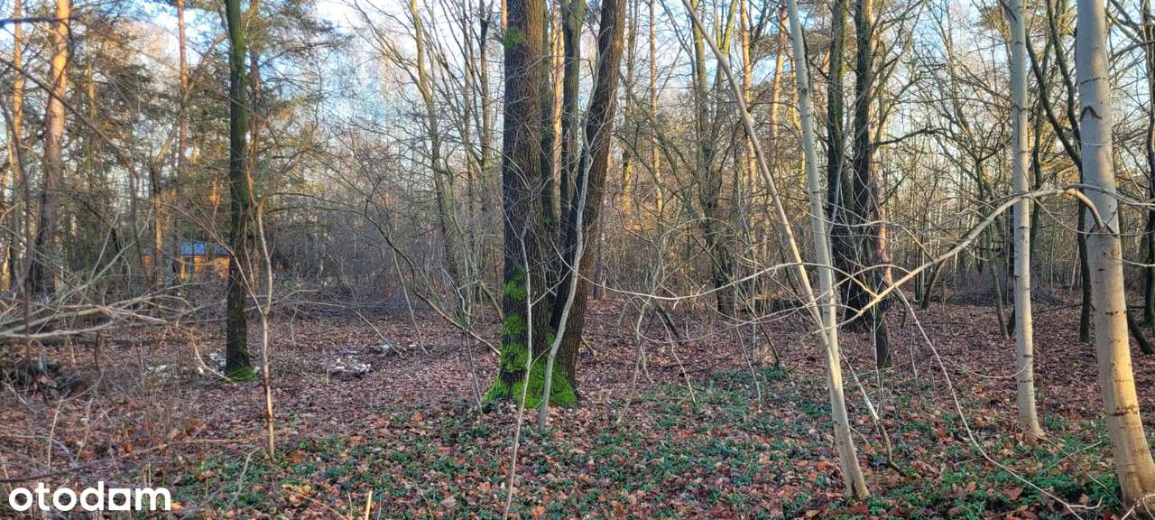 Działka budowlana, ciche i spokojne miejsce Grodzisk Mazowiecki.-8