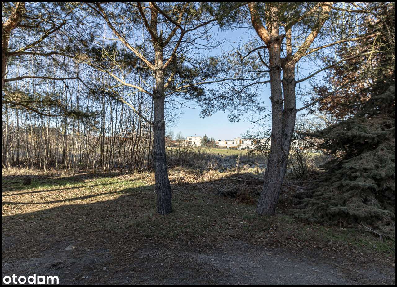 Kiekrz - działka rolna 5 879m2-19