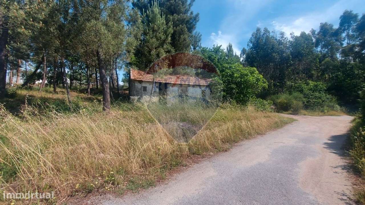 Moradia T1 para venda - Grande imagem: 5/9