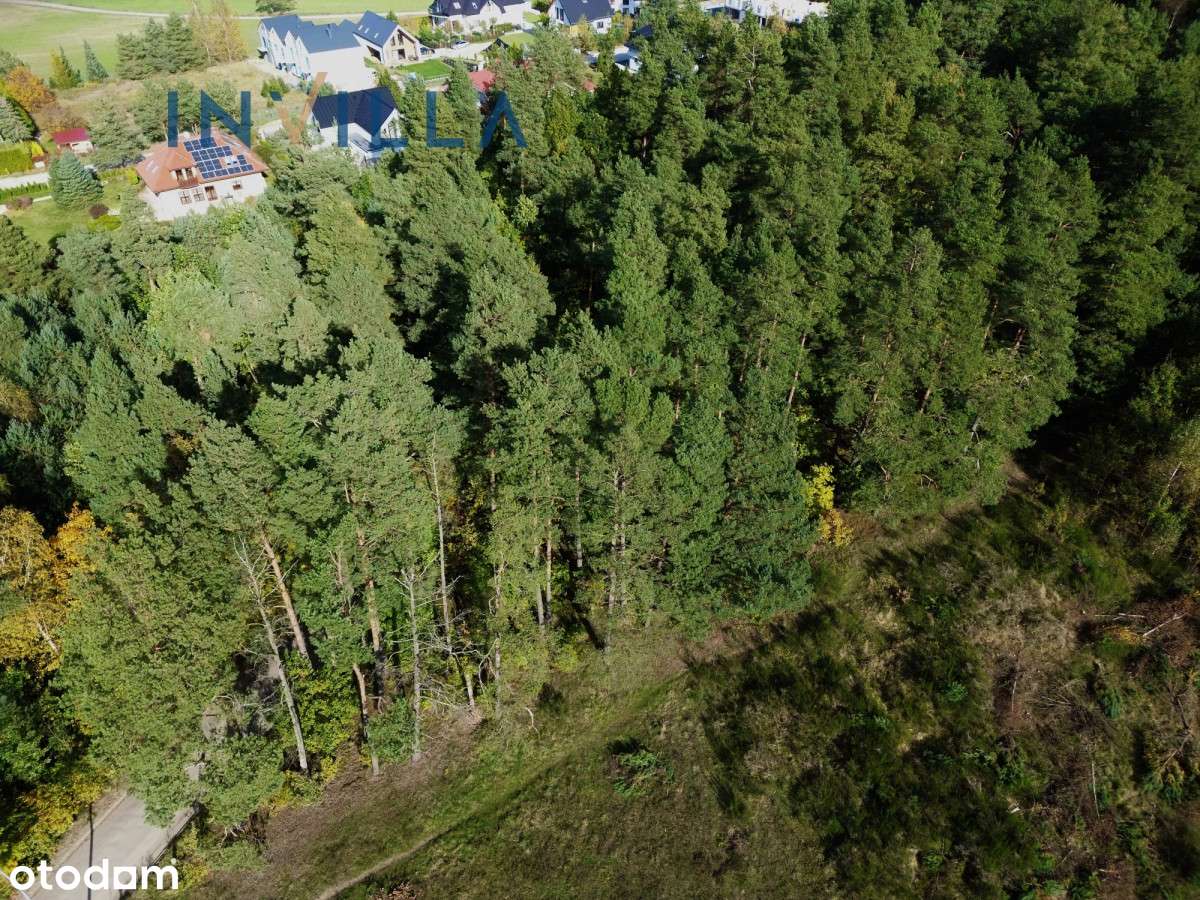 Działka leśna - Pełny obrazek: 5/6