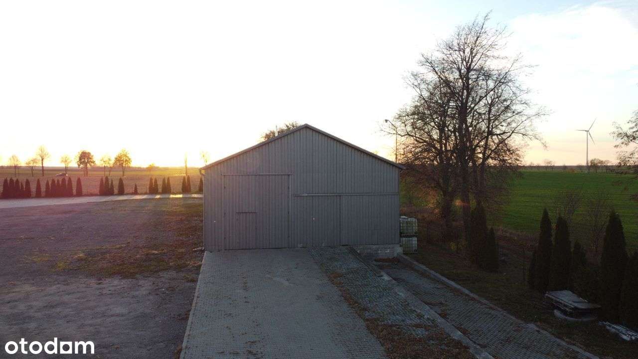 Hala Biuro Magazyn Warsztat Sklep Hurtownia Logist-8