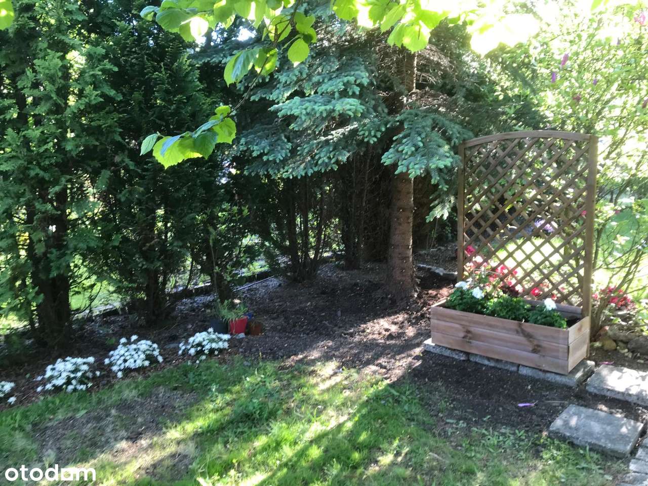 4 pokojowe mieszkanie w Wałbrzychu-16