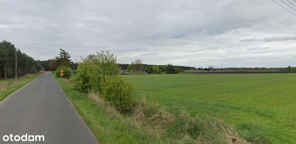 Działka rolna 3ha - Józefów - Pełny obrazek: 3/5