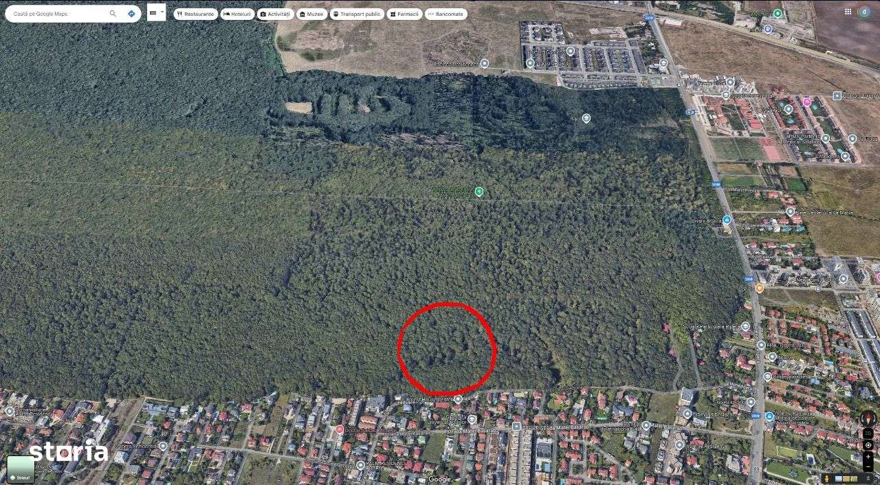 Teren Bucuresti 10.000mp padurea Baneasa - Imagine principală: 2/4