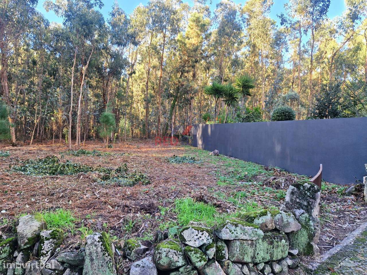 TERRENO PARA CONSTRUÇÃO, NEGREIROS, BARCELOS-7