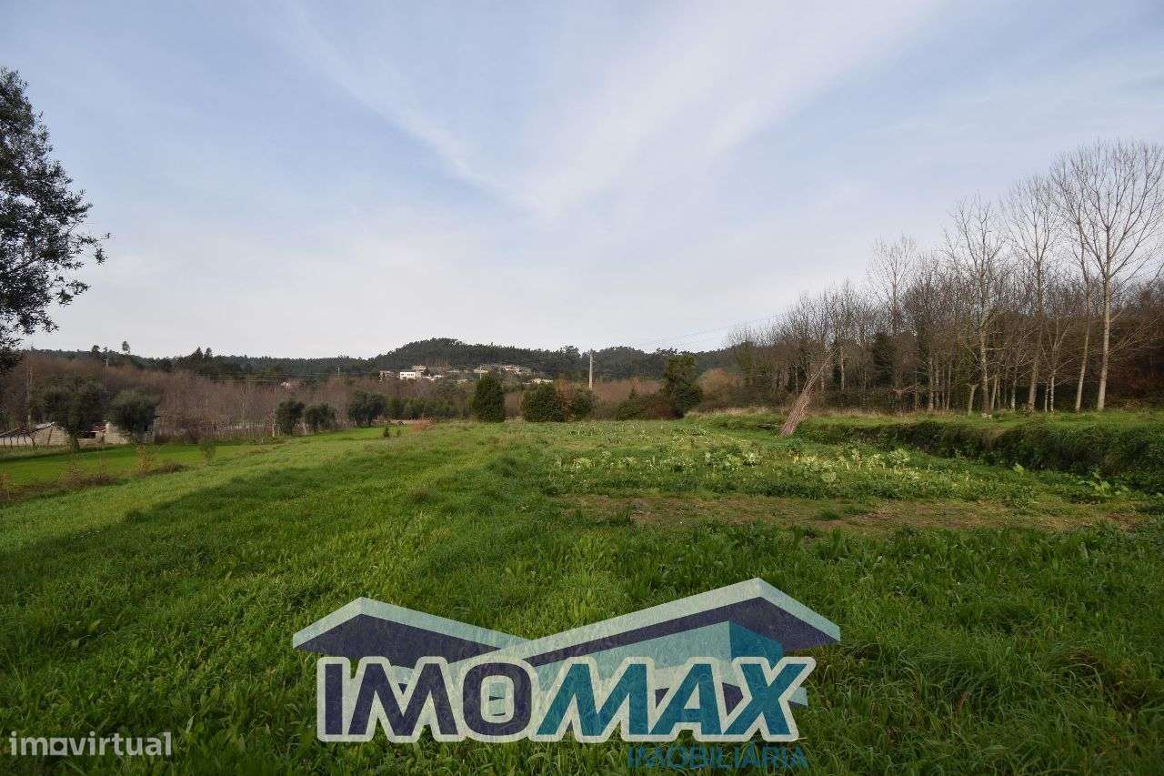 Campo das Porcas - Capela,Penafiel - Grande imagem: 2/4