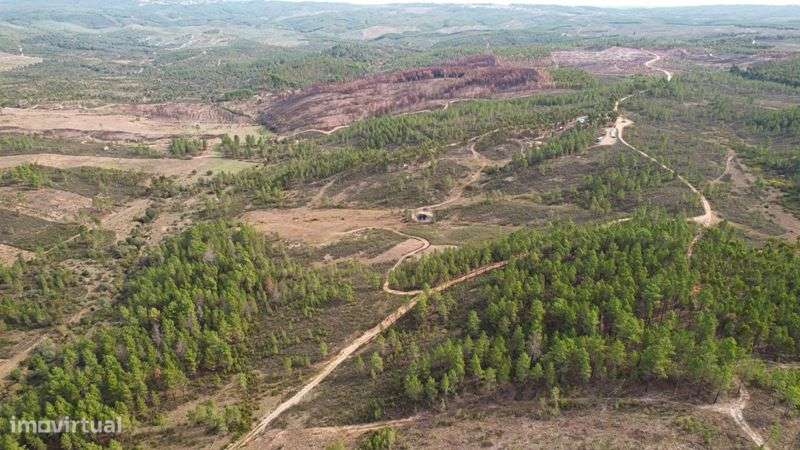 Terreno - Grande imagem: 4/6