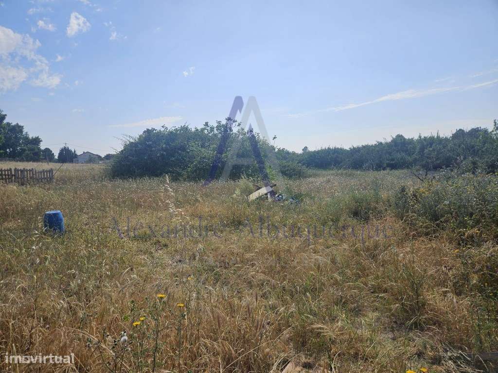 Quinta com 3 Habitações | Pinhal Novo | Terreno 5.400 m²-29