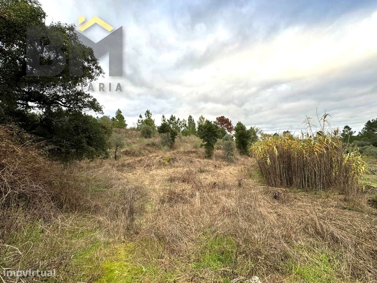 Terreno Rústico  Venda em Salgueiro do Campo,Castelo Branco - Grande imagem: 3/10