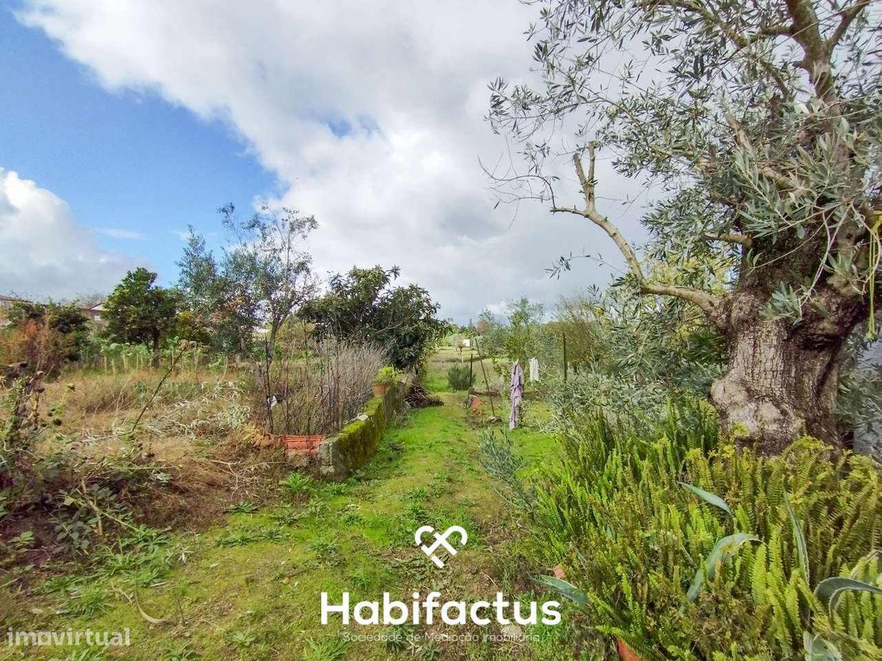 Terreno com Viabilidade de Construção – Paranhos da Beira, Seia - Grande imagem: 4/9