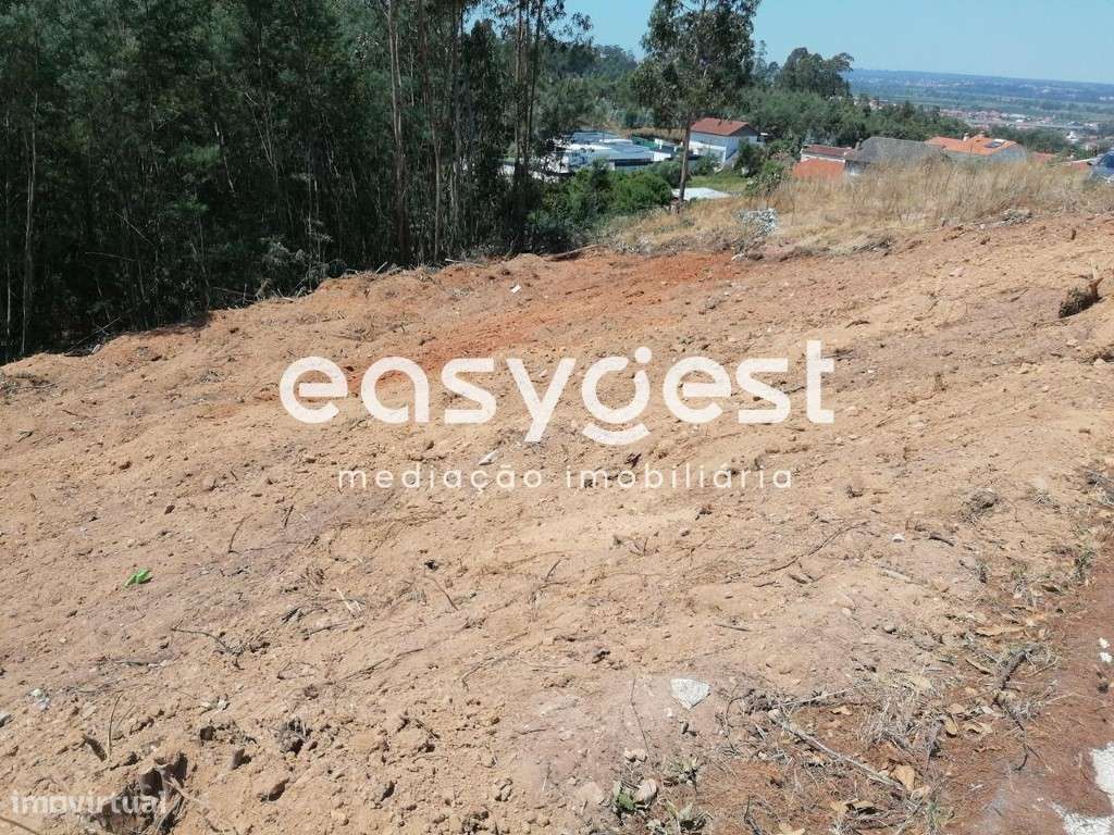 Terreno Com 2000 m2 em São Martinho do Bispo para Construção - Grande imagem: 2/4