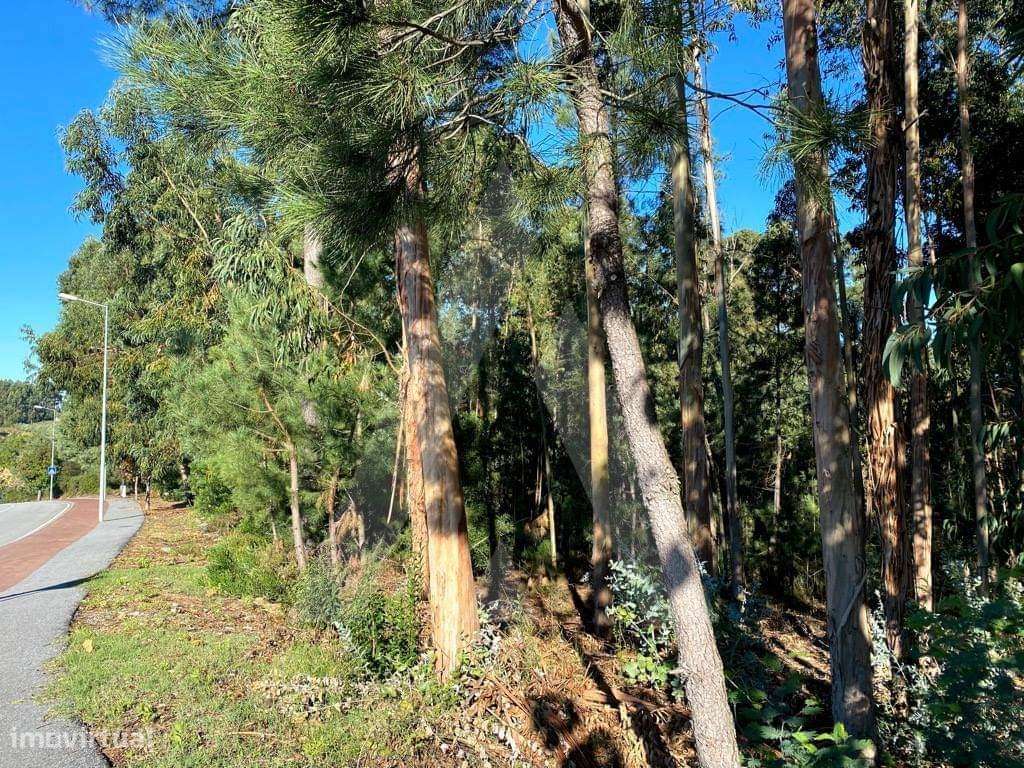 Terreno para construção no Centro de Anadia - Grande imagem: 2/12