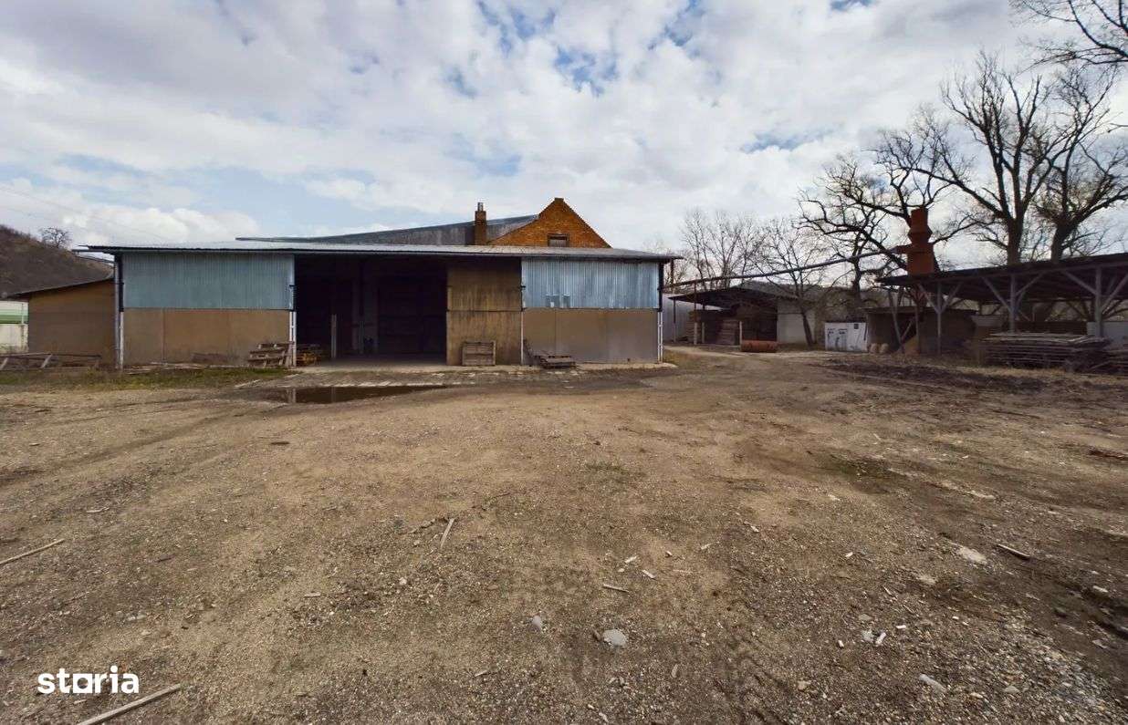 Fabrica prelucrare lemn de vanzare – Lipova, Arad-6