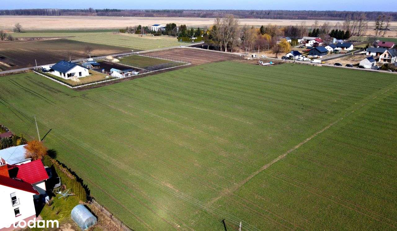 Działka, 1 114 m², Jacków - Pełny obrazek: 5/7