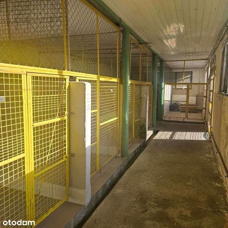 Dom, 106 m², Sierakowo-17