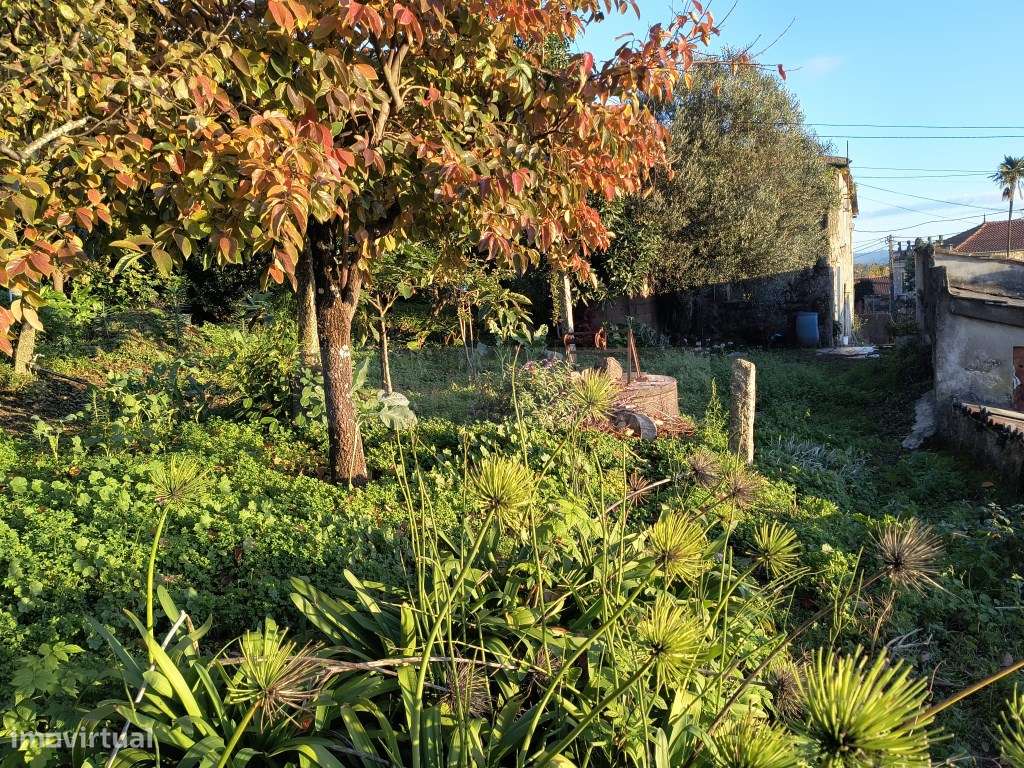 Terreno com casa para restaurar-19